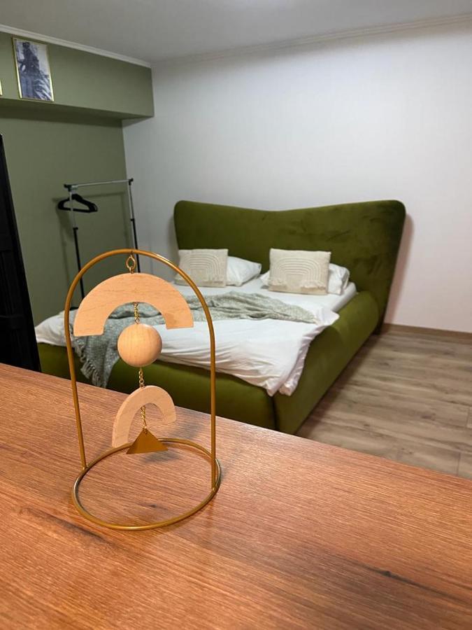 Magic Green Studio Hunedoara Διαμέρισμα Εξωτερικό φωτογραφία