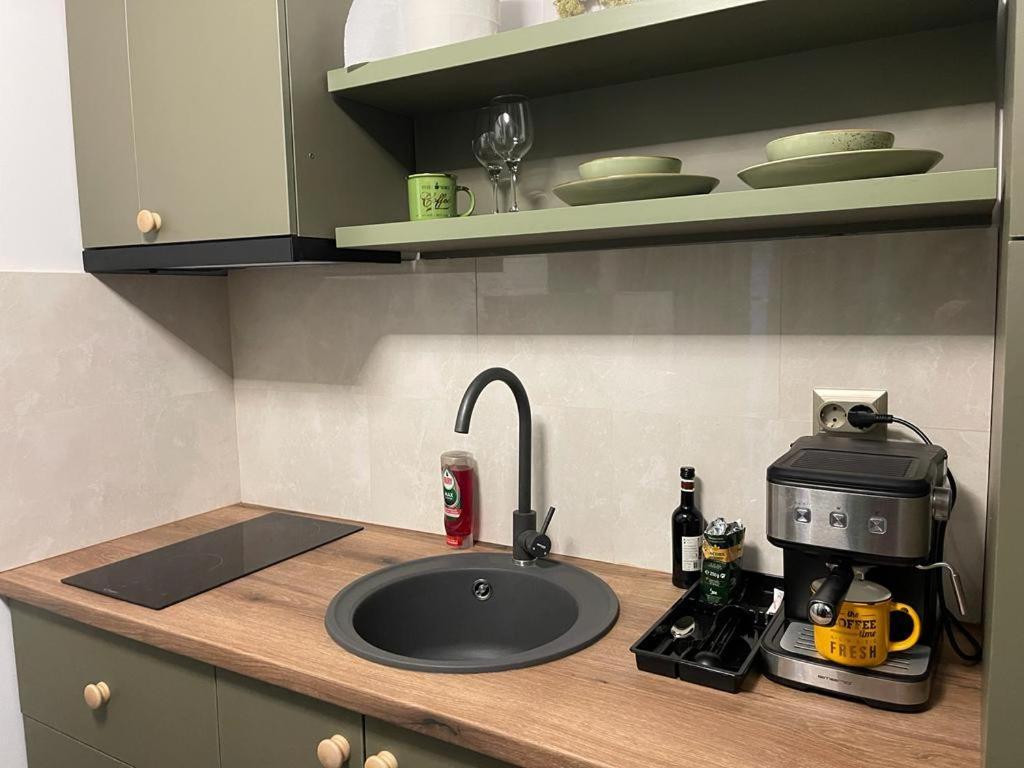 Magic Green Studio Hunedoara Διαμέρισμα Εξωτερικό φωτογραφία